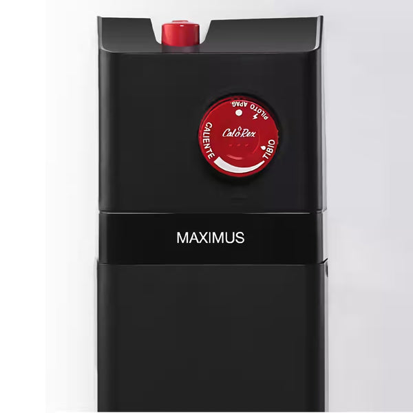 BOILER MAXIMUS G-40 NAT 40 GALONES