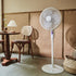files/12_product_Plastic_Stand_Fan_3123_900x900px.jpg